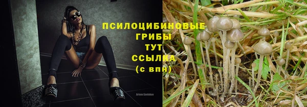 первитин Горно-Алтайск